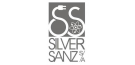 SILVER SANZ